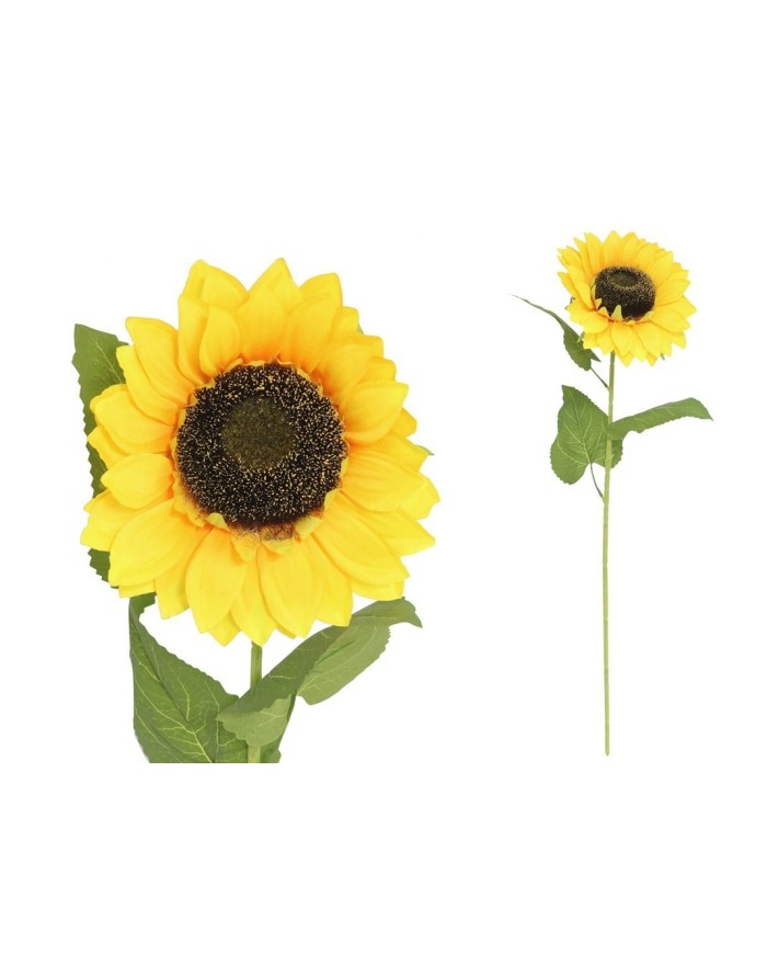 VARA GIRASOL X 1 D 17 CM X 69 CM