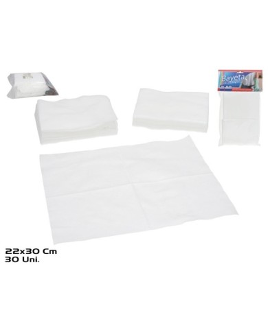 BAYETA ELECTROSTATICA PAPEL X30 22X30 CM