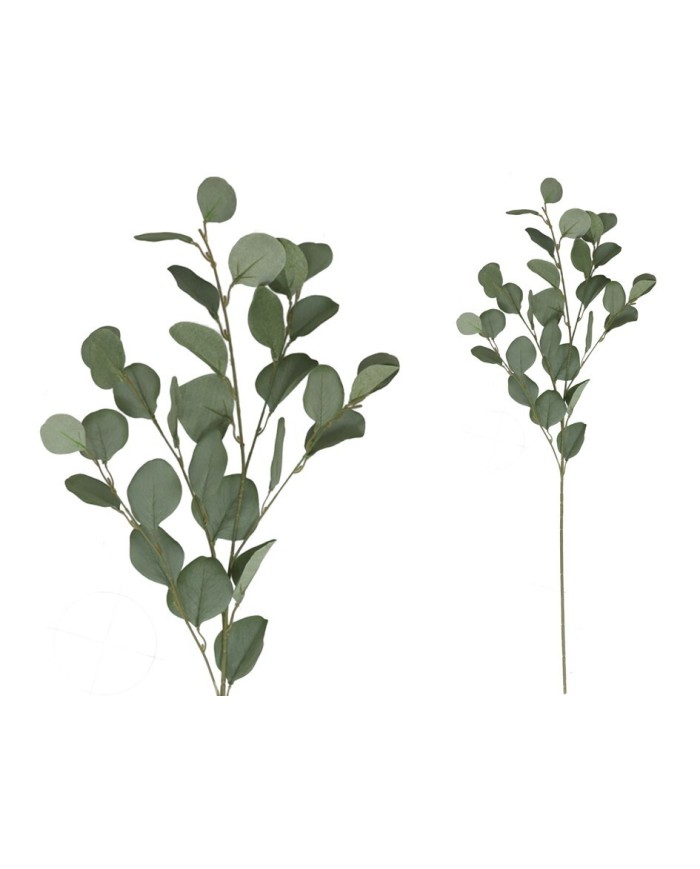 VARA EUCALIPTO X4 X30-90CM (VERDE/CL)