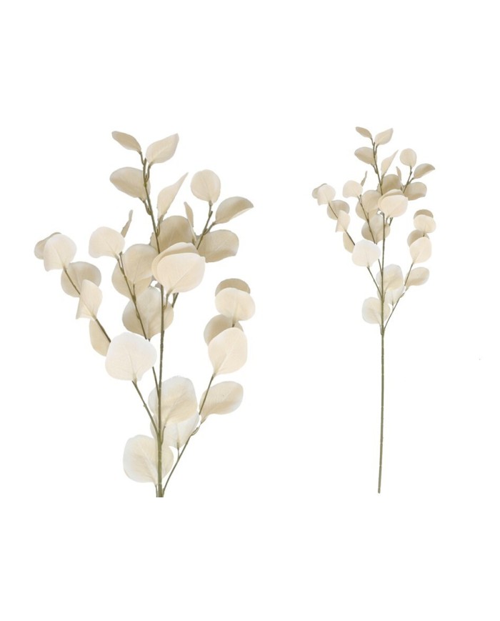 VARA EUCALIPTO X4 X30-90CM (BEIGE)