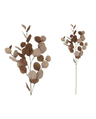 VARA EUCALIPTO X4 X30-90CM (OCRE)