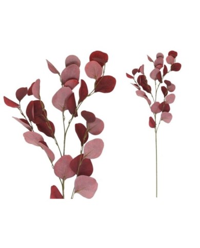 VARA EUCALIPTO X4 X30-90CM (ROJO)