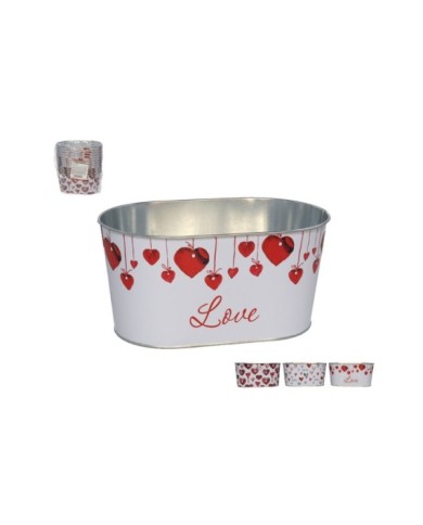 JARDINERA FALLING 22,5X13,5CM 3 SURTIDOS