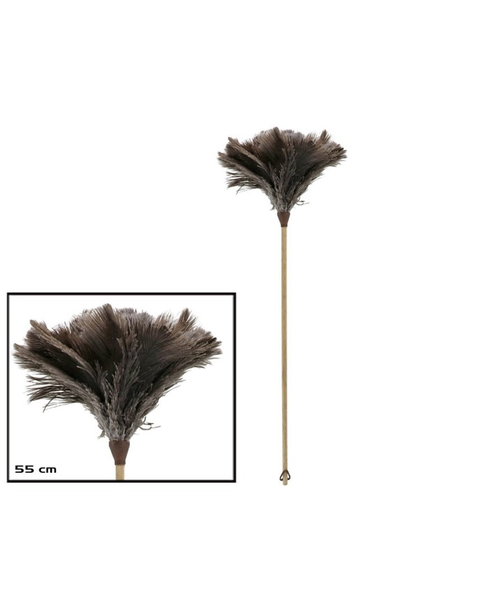 PLUMERO AVESTRUZ VARILLA MADERA 55cm