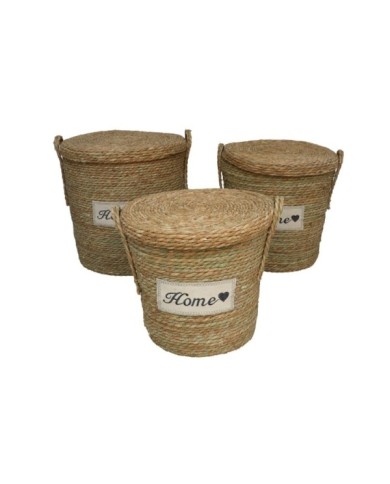 SET 3 PONGOTODOS C/ TAPA NATURA 45X45X46 CM