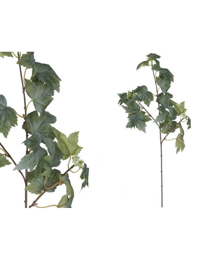 VARA HOJA PARRA X 20 -78 CM (VERDE/C)