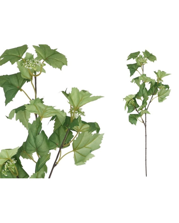 VARA HOJA PARRA X 20 -78 CM (VERDE)