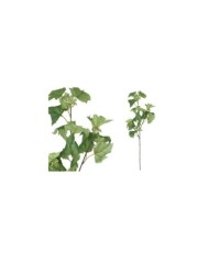 VARA HOJA PARRA X 20 -78 CM (VERDE/C)