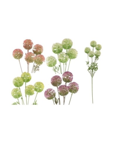 VARA ALLIUM X 5 -66CM (S)