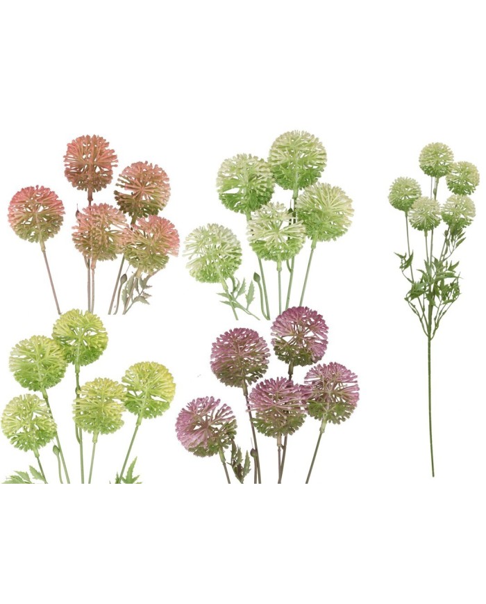 VARA ALLIUM X 5 -66CM (S)