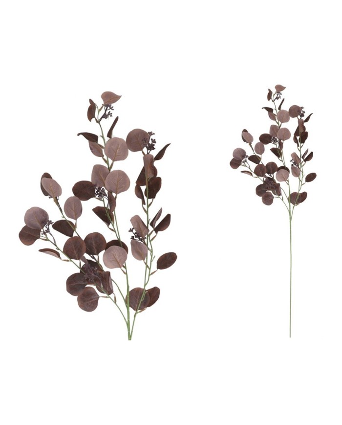 VARA EUCALIPTO X4 X40-105CM (BURDEOS)