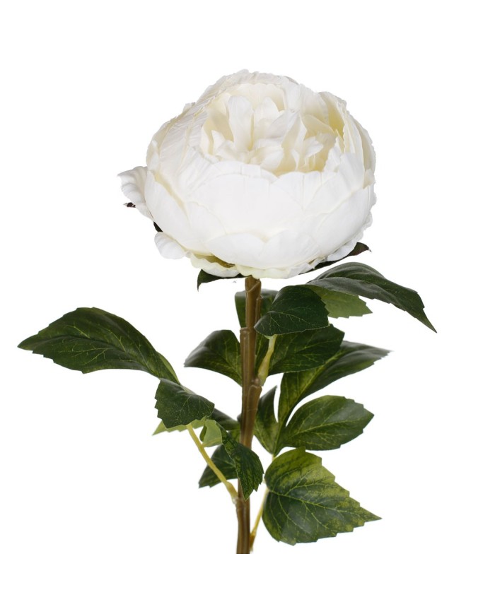 VARA PEONIA ELEGANCE *BLANCO