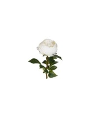 VARA PEONIA ELEGANCE *BLANCO