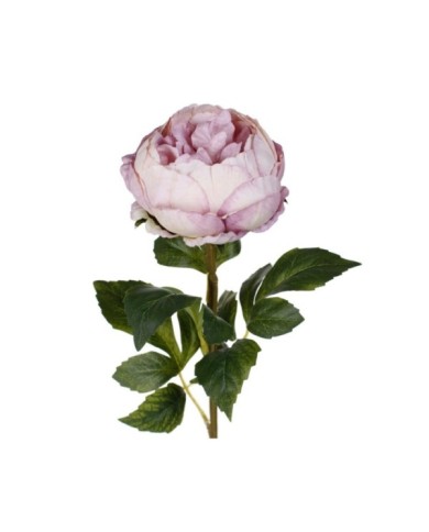 VARA PEONIA ELEGANCE *LILA