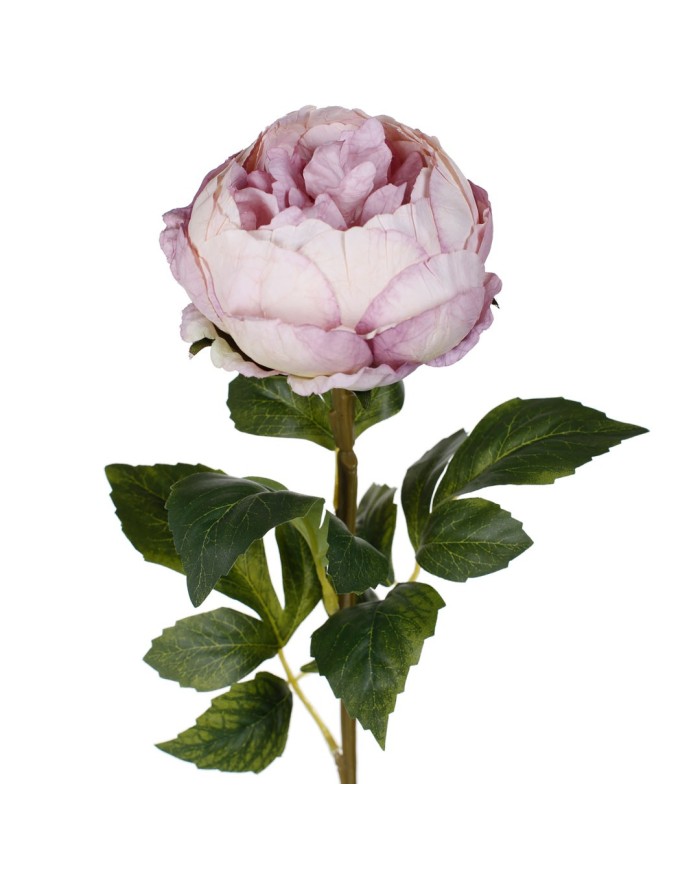 VARA PEONIA ELEGANCE *LILA