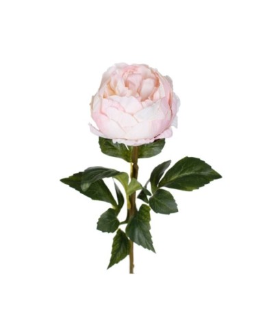 VARA PEONIA ELEGANCE *CREMA