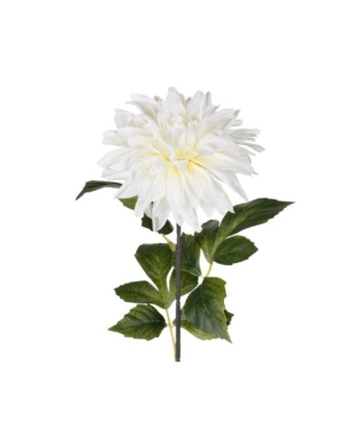 VARA ZINNIA ELEGANCE *BLANCO