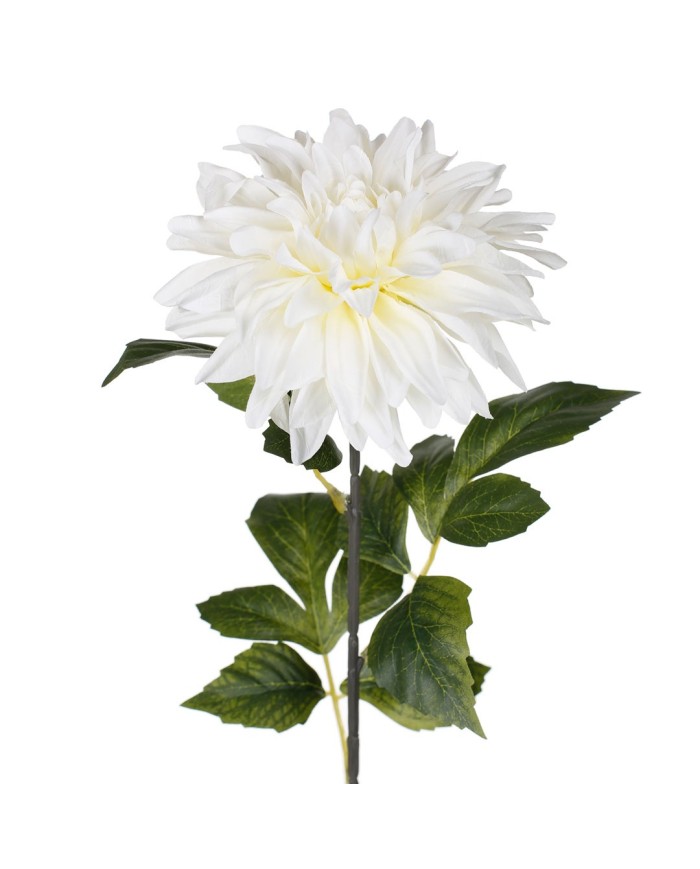 VARA ZINNIA ELEGANCE *BLANCO