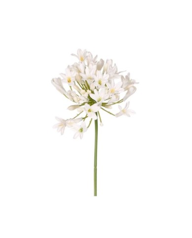 VARA AGAPANTHUS SPRAY *BLANCO