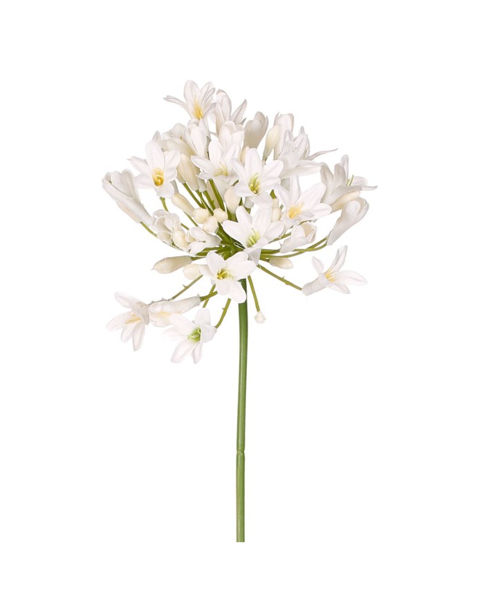VARA AGAPANTHUS SPRAY *BLANCO