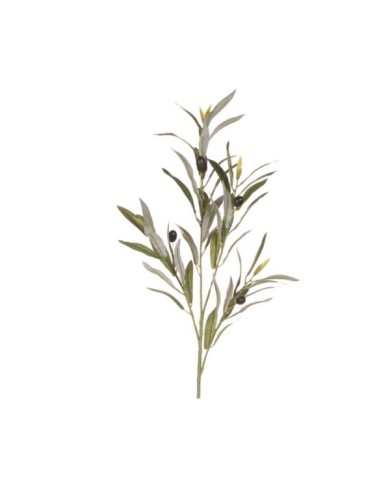 VARA OLIVO CON ACEITUNAS *V.OSCURO
