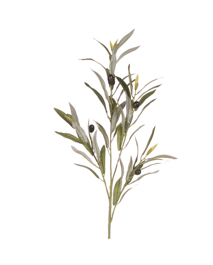 VARA OLIVO CON ACEITUNAS *V.OSCURO