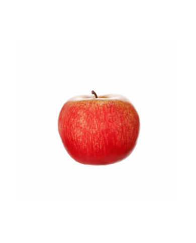 BOLSA 8 MANZANAS ARTIFICIAL *ROJO