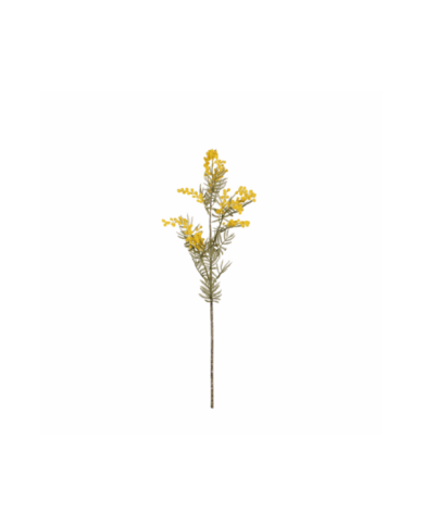 VARA MIMOSA GRD *AMARILLO