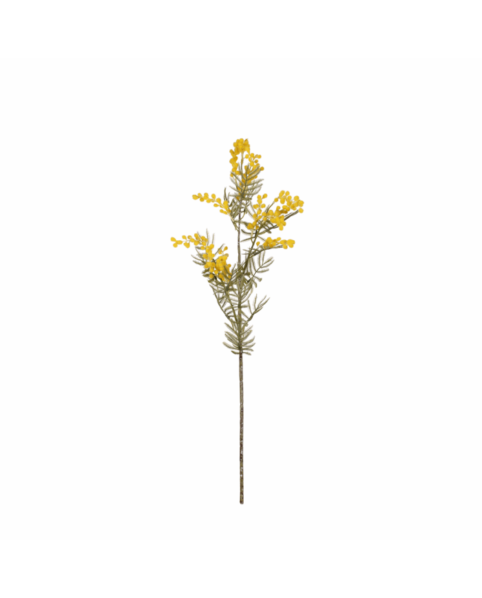 VARA MIMOSA GRD *AMARILLO