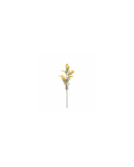 VARA MIMOSA GRD *AMARILLO