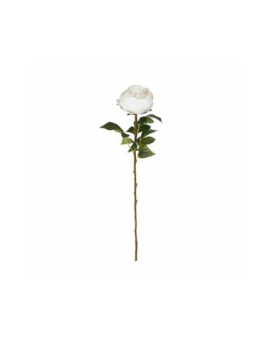 VARA PEONIA ELEGANCE *BLANCO