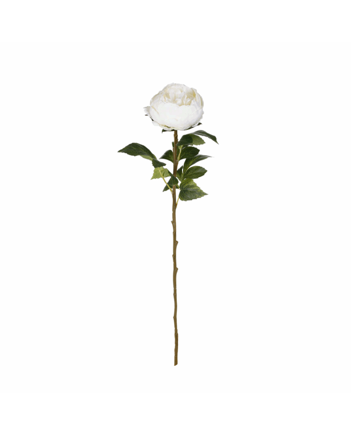 VARA PEONIA ELEGANCE *BLANCO