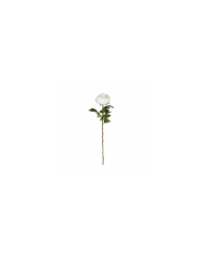 VARA PEONIA ELEGANCE *BLANCO