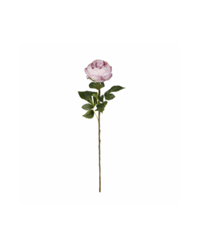 VARA PEONIA ELEGANCE *LILA