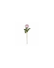 VARA PEONIA ELEGANCE *LILA