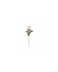 VARA PEONIA ELEGANCE *CREMA