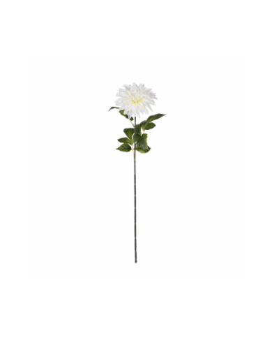 VARA ZINNIA ELEGANCE *BLANCO