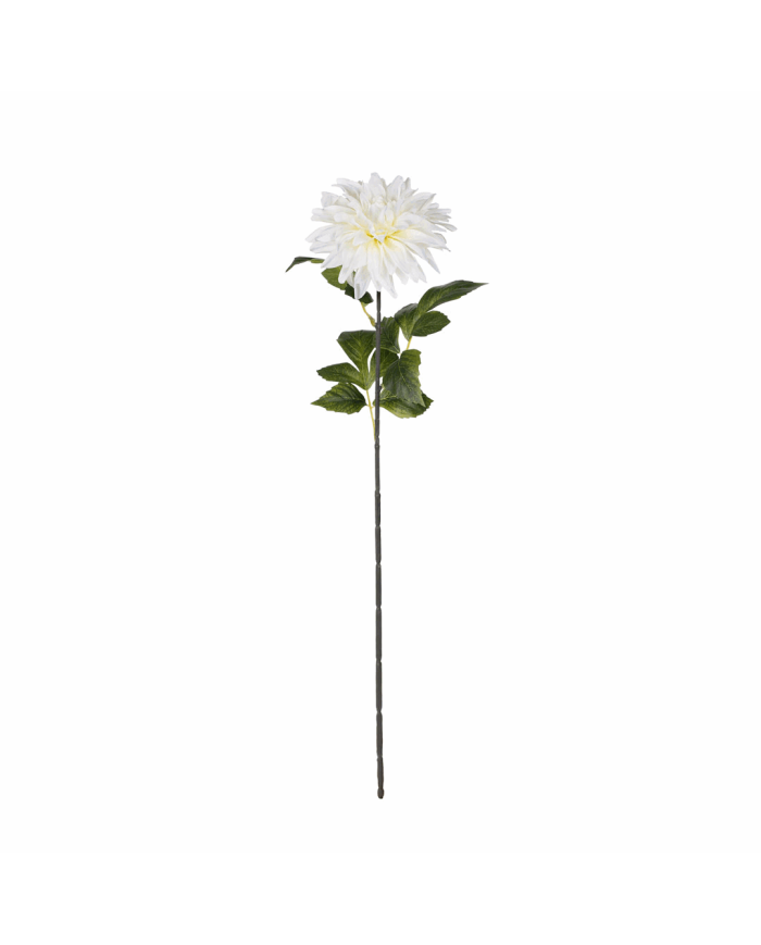 VARA ZINNIA ELEGANCE *BLANCO