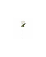 VARA ZINNIA ELEGANCE *BLANCO