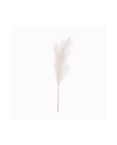 VARA PAMPA GRASS GRD *CREMA