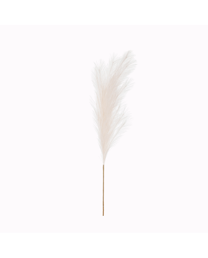 VARA PAMPA GRASS GRD *CREMA