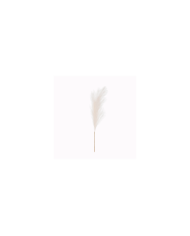 VARA PAMPA GRASS PQ *CREMA