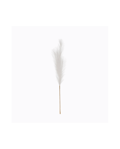 VARA PAMPA GRASS PQ *CREMA