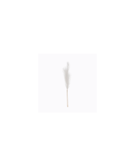 VARA PAMPA GRASS PQ *CREMA