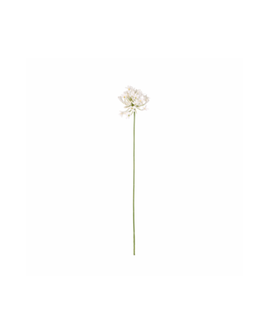 VARA AGAPANTHUS SPRAY *BLANCO