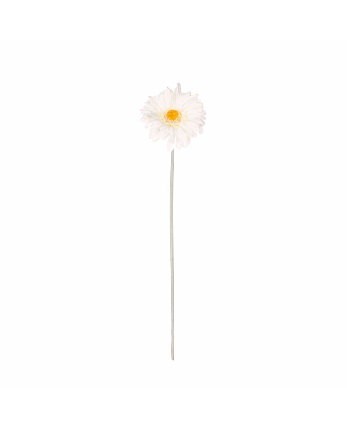 VARA GERBERA SPRAY *BLANCO