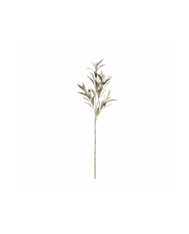 VARA OLIVO CON ACEITUNAS *V.OSCURO