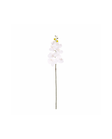 VARA ORQUIDEA *BLANCO