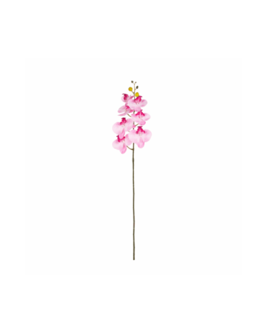 VARA ORQUIDEA *FUXIA