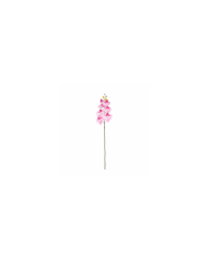 VARA ORQUIDEA *FUXIA